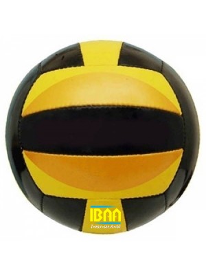 Volley Ball