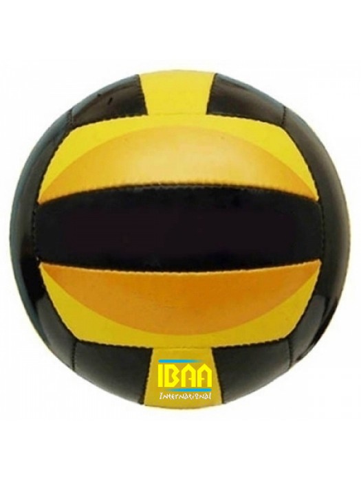 Volley Ball