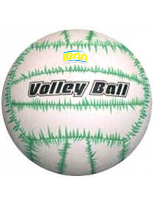 Volley Ball