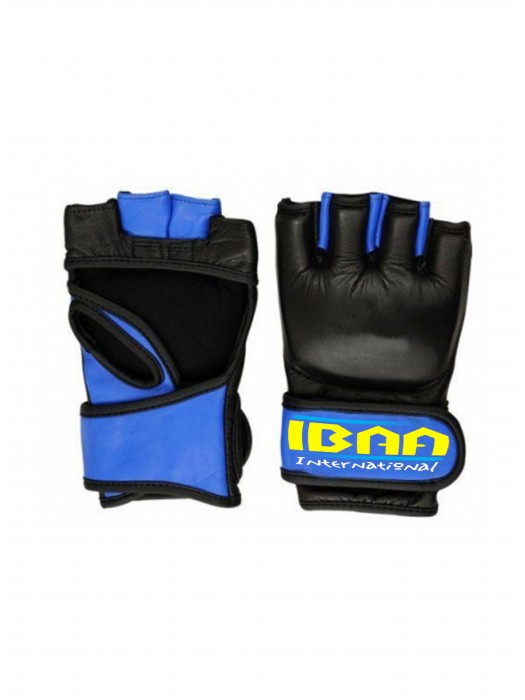 MMA Gloves