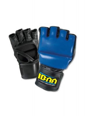 MMA Gloves